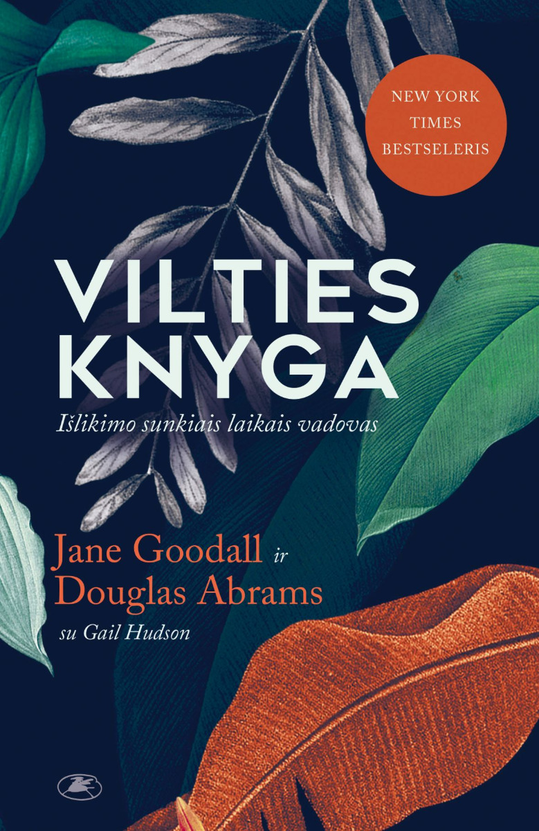 Vilties knyga